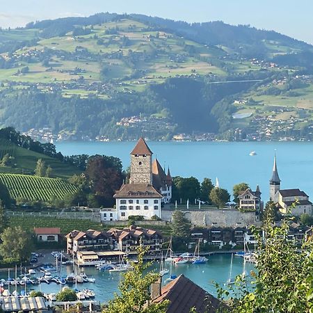 Herrlicher Blick Auf Berge Und See Faulensee Dış mekan fotoğraf