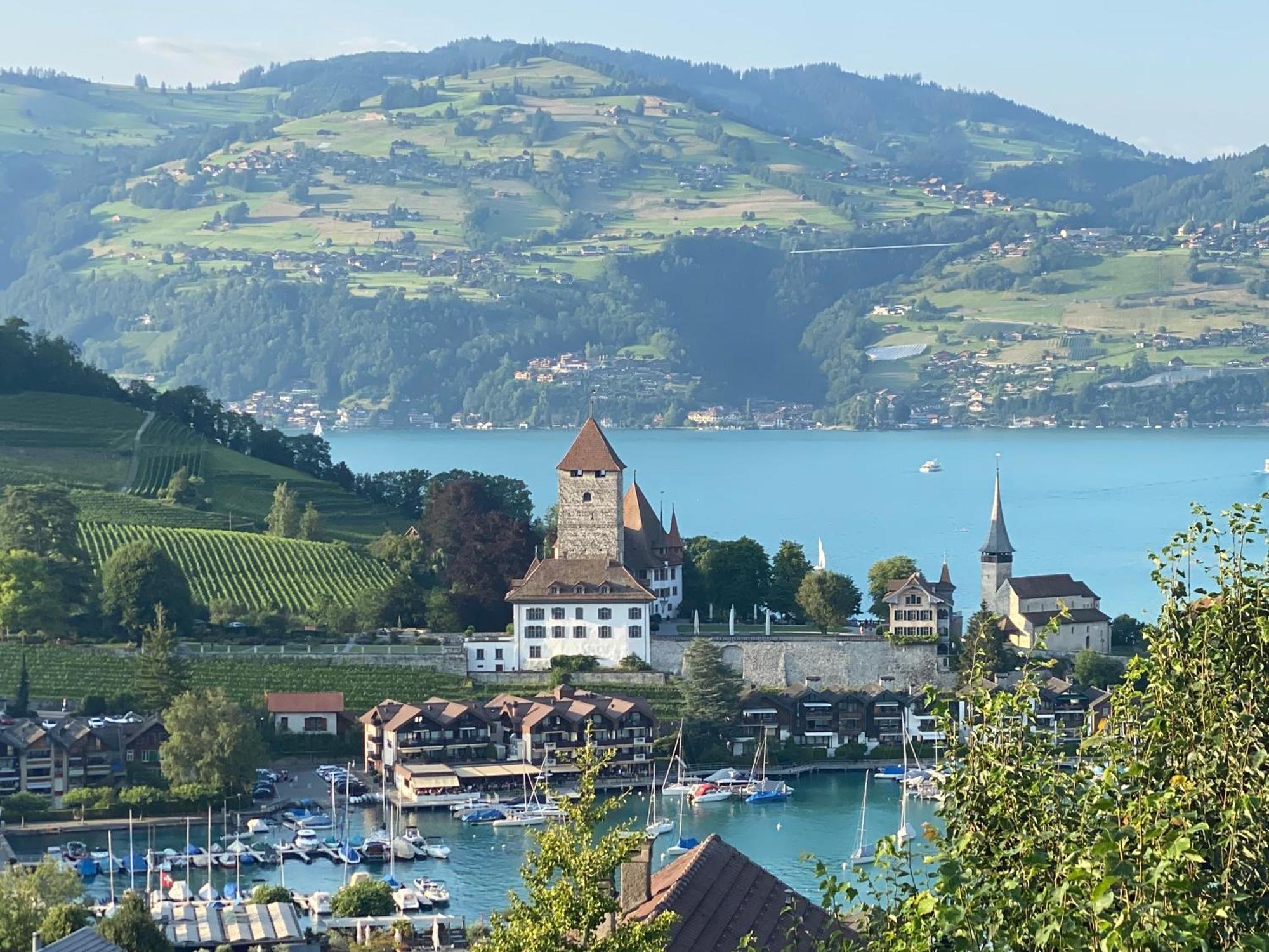 Herrlicher Blick Auf Berge Und See Faulensee Dış mekan fotoğraf