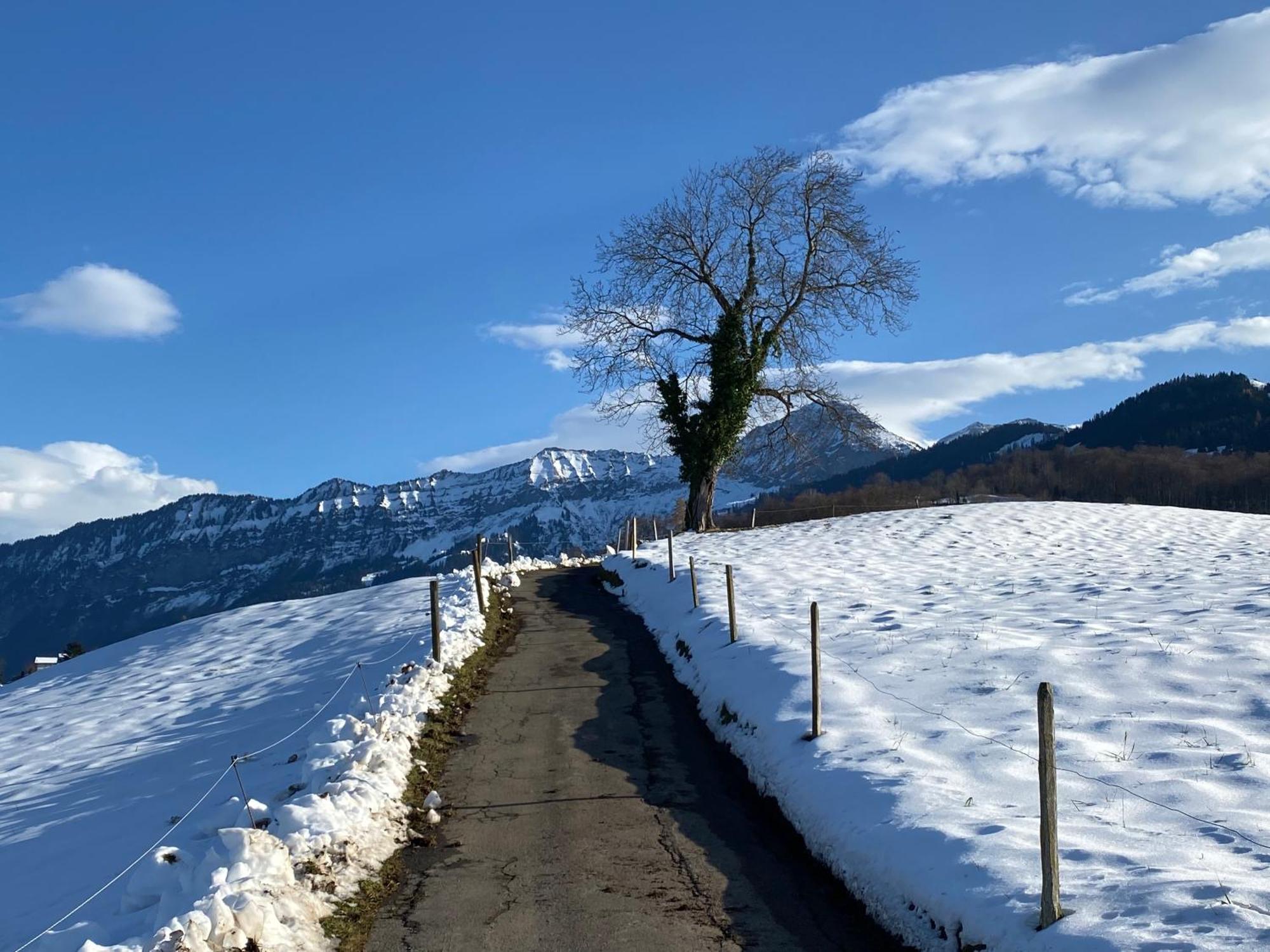 Herrlicher Blick Auf Berge Und See Faulensee Dış mekan fotoğraf