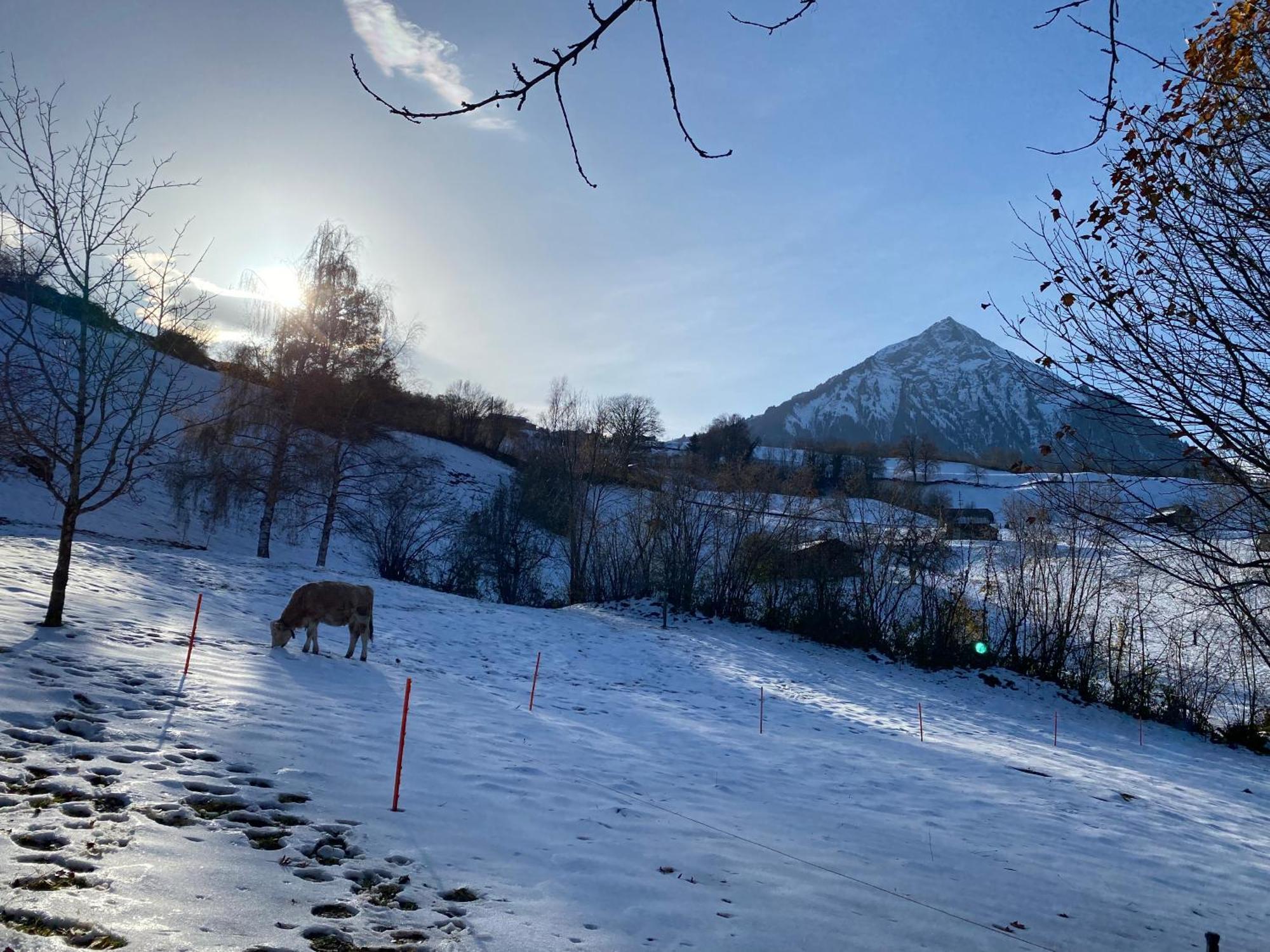 Herrlicher Blick Auf Berge Und See Faulensee Dış mekan fotoğraf